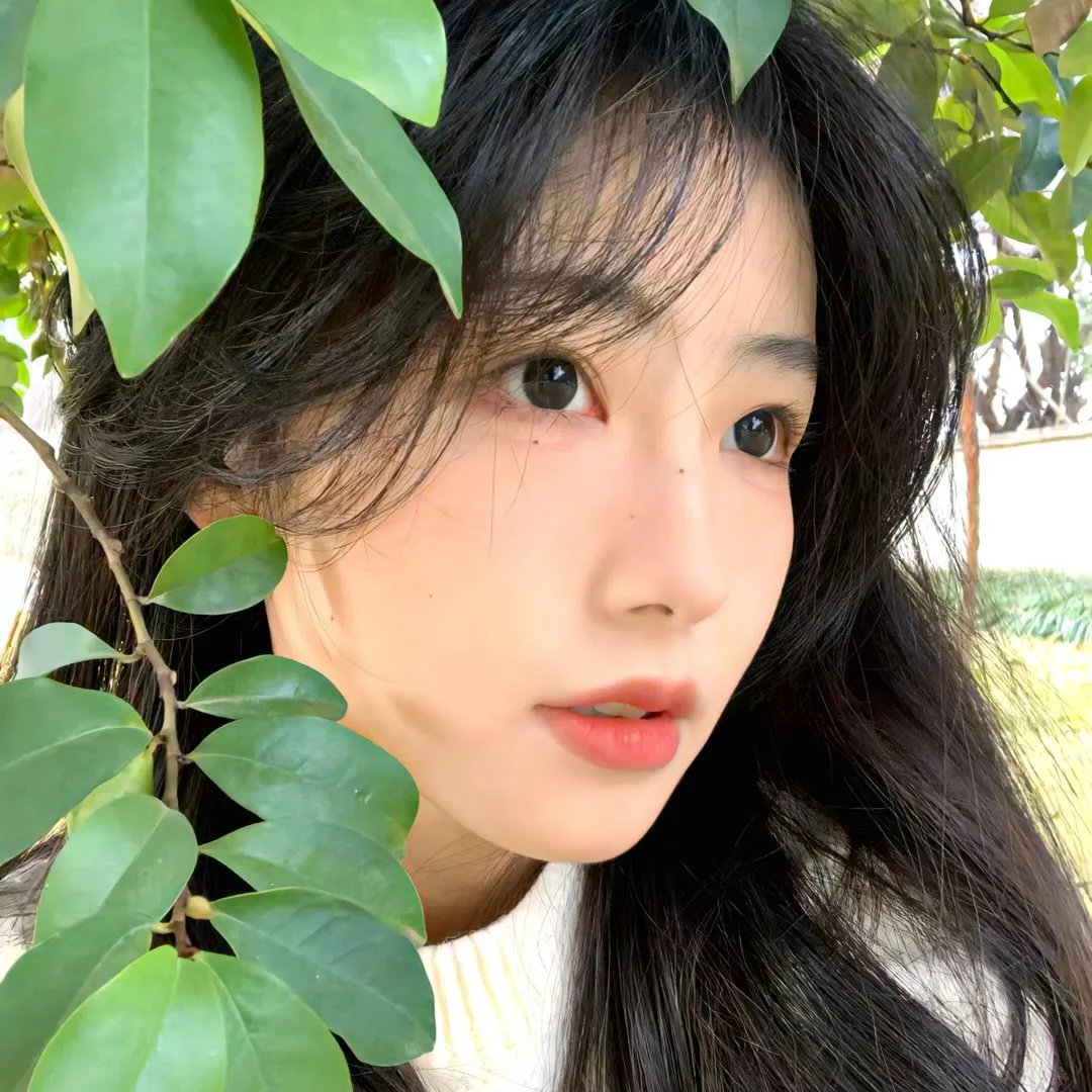隐藏的面孔